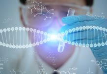 DTU advances tissue healing through hydrogel innovation regenerative medicine