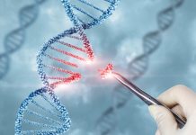 NHS launches world first gene therapy for thalassaemia patients gene therapy