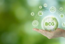 One year later: INN-PRESSME continues making developments for bio-based solutions bio-based solutions