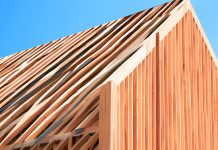Genetically engineered wood to revolutionise construction industry sustainability Genetically engineered wood to revolutionise construction industry sustainability