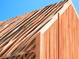 Genetically engineered wood to revolutionise construction industry sustainability
