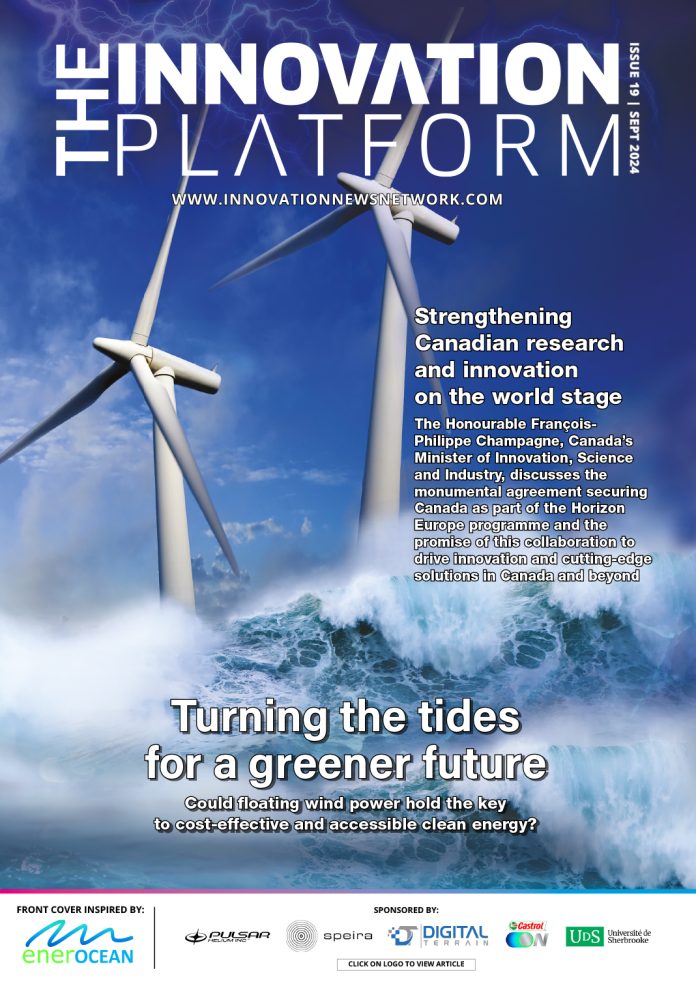 The Innovation Platform Issue 19