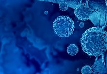 The Université de Sherbrooke’s interdisciplinary approach for studying cancer in all its complexity