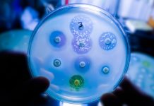 Researchers discover important step in the fight against antibiotic-resistant bacteria antibiotic-resistant bacteria