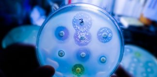 antibiotic-resistant bacteria