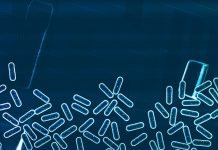 IDS One Health takes innovative approach to tackle antimicrobial resistance antimicrobial resistance