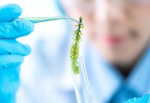 Why bio-based chemicals and materials face a higher entry to market bar than fossil incumbents – and why they deserve the effort bio-based chemicals