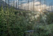 Driving global change at Thompson Rivers University’s research centres TRU's research centres