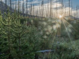 TRU's research centres