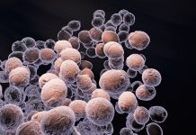 AvantGuard’s mission is to combat Candida auris and replace topical antibiotics candida auris