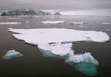 The decline of Arctic sea ice: Causes, impacts, and future projections arctic sea ice