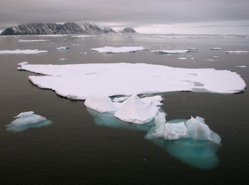 arctic sea ice