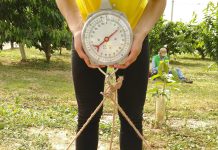 Pioneering solutions to tackle food loss food loss