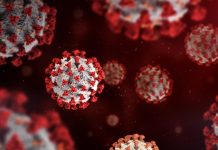 Université Laval: Advancing global health through innovation and international collaboration global health