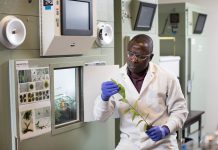 Alberta: A Canadian province of clean energy and opportunity environmental sustainability