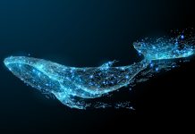 Ocean-centric investing in innovation