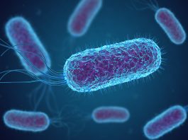 antimicrobial technologies