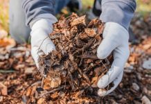 Applying the Safe and Sustainable By Design (SSbD) framework to the ZeroF project