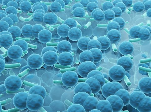 antibiotic resistance