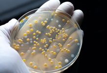 Tackling Europe’s antimicrobial resistance problem with QuantaMatrix’s technologies antimicrobial resistance