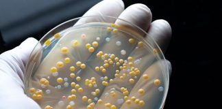 antimicrobial resistance