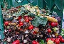Agro2Circular: A territorial circular solution for the upcycling of waste generated by the agrifood industry fruit and vegetable waste