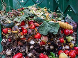 fruit and vegetable waste