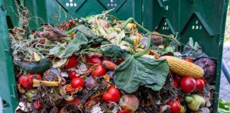 fruit and vegetable waste