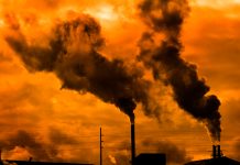 Fossil fuel emissions hit record high in 2024, raising climate target concerns fossil fuel emissions