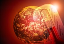 2024 forecast to be the warmest year on record, warn C3S temperature trends