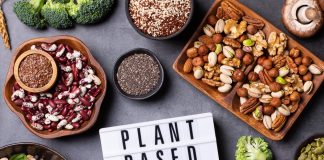plant-based protein