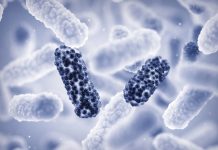 Antimicrobial resistance: Should we be worried? antimicrobial resistance