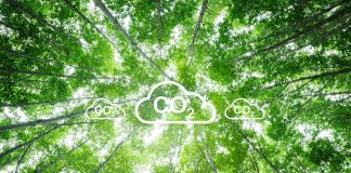 natural carbon sinks