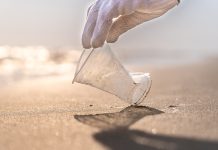 Transformative bioscience research provides tools for sustainable living