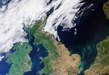 Sentinel 1C satellite launches into space