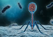 An in-depth overview of the science behind phage therapy phage therapy