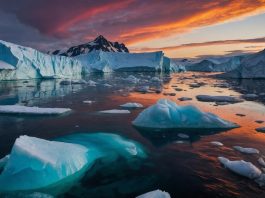 arctic climate change