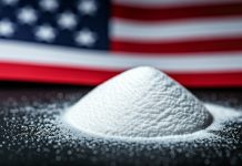 Stardust Power: Shaping the future of US lithium production with sustainability, ethics, and innovation US lithium production