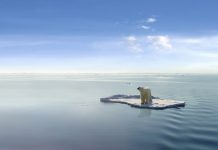 How Arctic climate change is reshaping our planet’s future Arctic climate change