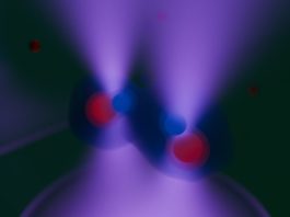 quantum entanglement