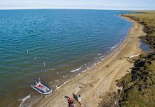 Arctic groundwater is pumping harmful carbon into the ocean arctic groundwater, carbon in the ocean