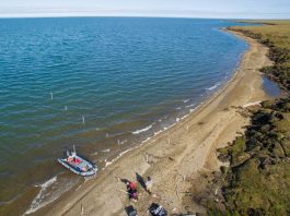 arctic groundwater, carbon in the ocean