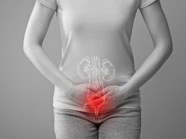 New FimCH vaccine shows promise in preventing recurrent urinary tract infections