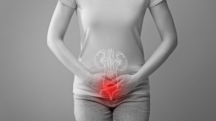 New FimCH vaccine shows promise in preventing recurrent urinary tract infections