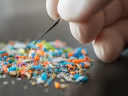 microplastic pollution