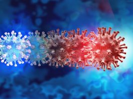 infectious disease outbreaks