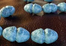 Researchers discover breakthrough in the fight against VRE infections VRE infections