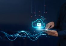 IT security, cost and risk – what is the value of everything? IT security