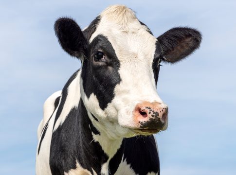 agricultural monitoring