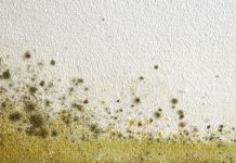 How to reduce mould and fungi with antimicrobial coatings mould and fungi